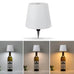 ILLMINIQUE™  Wireless Bottle Table Lamp